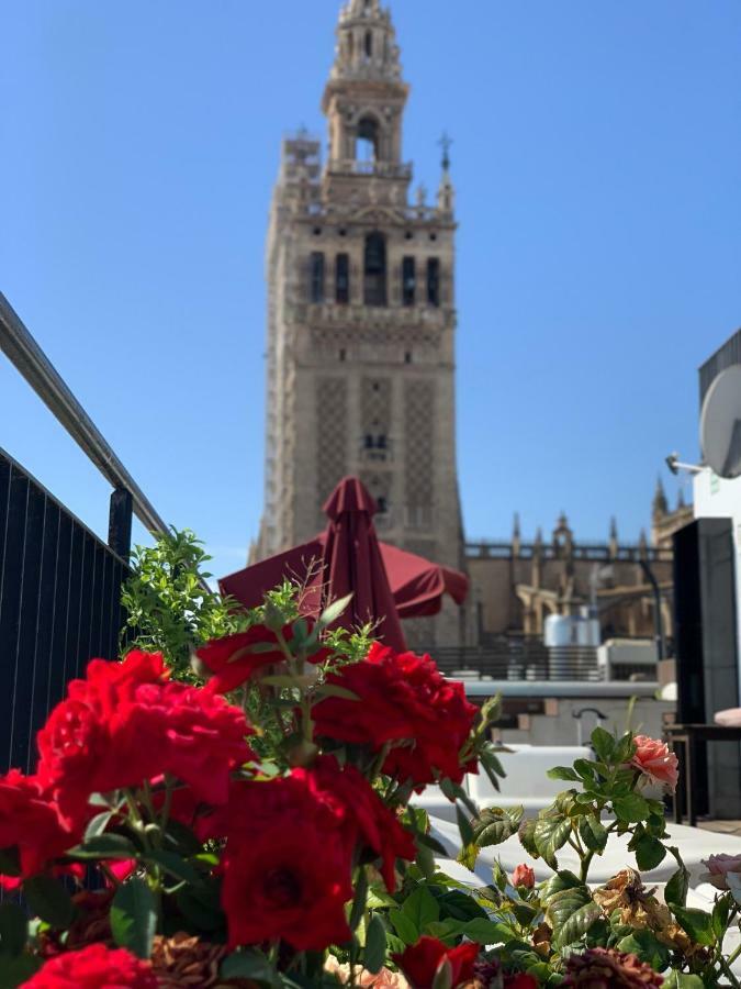 Cathedral Apartment, Upper Floor Apartment Севиля Екстериор снимка